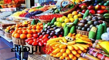 تغيرات في أسعار الخضروات بسوق العبور اليوم الجمعة 27 مارس 2026 في مصر